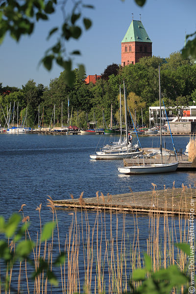 Ratzeburg See Ufer Schilf Landidyll am Wasser Dom Turm Boote
