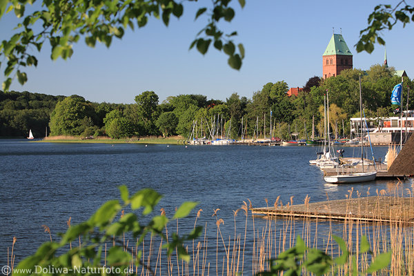 Ratzeburger See Wasser Uferpanorama Segelboote Dom Frhlingsbild