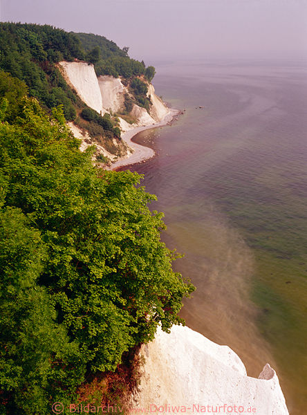 Insel Rgen Kreidekste Hochklippen Ostsee Wasserlandschaft