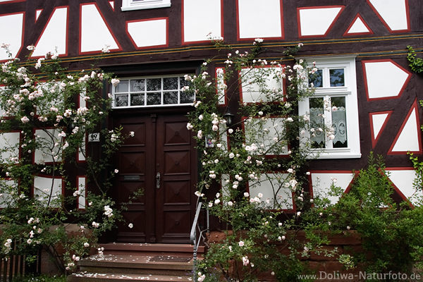 Fachwerkhaus-Eingangstr in Weissblumen Dekor in Frankenberg