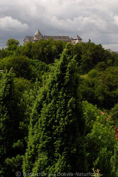 Schloss Waldeck alte Burg in Wolken ber Waldecker Land