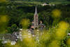705018_ Bad Berleburg Altstadt Kirche Fotokunst in Gelbblüten