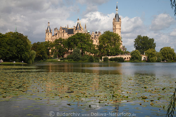 Schwerin Schloss Burgsee grne Wasserinsel Landschaftsfoto