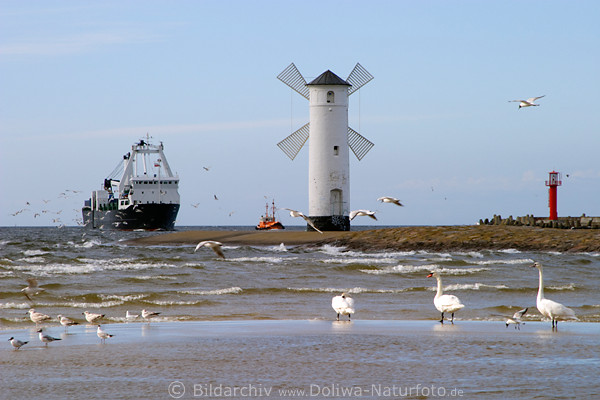Swinemuende Leuchtturm Weisse Leuchtbake Schiff Laterne am Meerstrand V�gel M�ndung der Swine