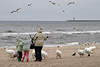 41813_ Möwen & Schwäne Fütterung an Ostsee, Frau mit Kinder in Wind am Meer