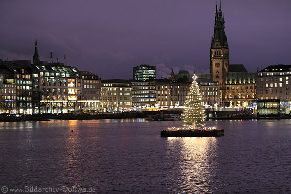 Seetanne Weihnachtsbaum in Alsterwasser vor Hamburg City-Skyline Adventslichter