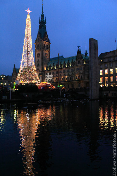 Hamburger Weihnachtsbaum aus Lichterketten unterm Rathaus ber Kleine Alster Spiegelung in Wasser