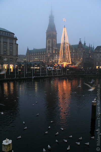 Weihnachtsbaum am Rathaus über Kleine Alster in Hamburg