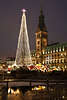 Weihnachtsbaum Rathaus Lichter über Kleine Alster Winterbild Tauben auf Eis & Schnee in Hamburg