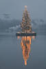 Christbaum Foto auf Alster Tannenbaum Weihnachtsbaum in Nebel am Schiff über Binnenalster