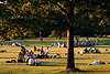 Alsterwiese mit Menschen in Abendsonne Hamburger grillen klönen Picknick auf Parkwiese