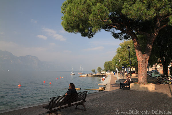 Castelletto Uferpromenade Gardasee Park Bnke unter Bumen am Wasser