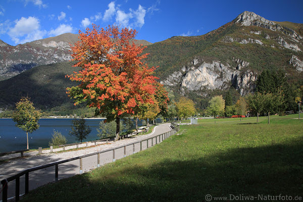 Cima d�Oro Gipfel �ber Ledro-See Uferweg Herbstfarben am Wasser Gr�nwiese Naturfoto