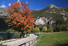 LedroSee Uferweg Herbstfarben Foto unter Cima d�Oro Alpengipfel �ber Via al Lago Gr�nwiese