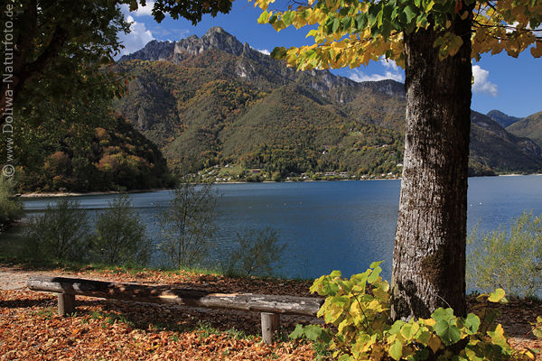 Ledro-See Herbst Naturfoto Bl�tter Laub um Baum Uferbank Berggipfel Wasserblick