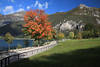 Cima d’Oro Gipfel über Ledro-See Uferweg Herbstfarben am Wasser Grünwiese Naturfoto