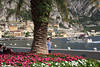 Gardasee Foto Urlaub unter Palmen in Limone Bergufer Hotel Felskulisse WasserBoot Touristen blumige Promenade