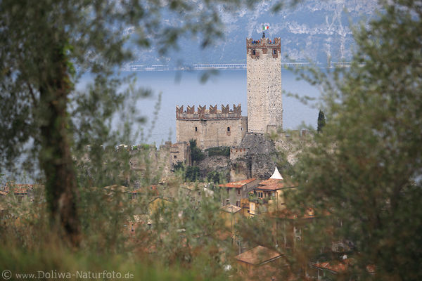Skaligerschloss Malcesine Burg ber Gardasee