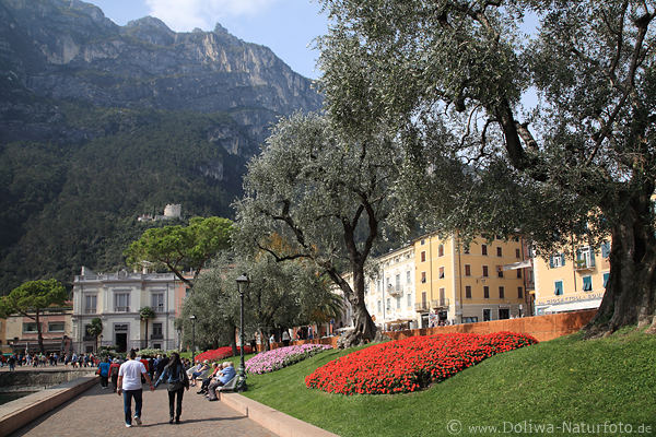Riva Promenade Bergkulisse Foto Gardasee Olivenb�ume Spazierweg Urlaubsidylle Bild