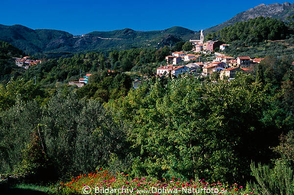 Castagnola in Fremura Foto, Cinque Terre vertrumtes Dorf in Berge Panorama
