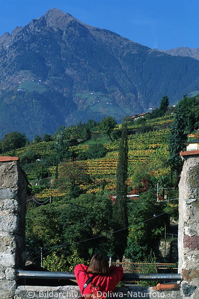 Meraner Pulverturm Ausblick auf Gipfel Texelgruppe Alme Obst-Weingrten