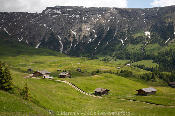 Tschapit Bergwiesen mit Berghtten Tal auf Seiser Alm Landschaftsfotos vor Schlern-Massiv
