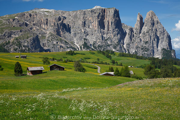 Schlern ber SeiserAlm Landschaftsfoto mit Santner, Alpe di Siusi Sciliar Panorama Dolomiti