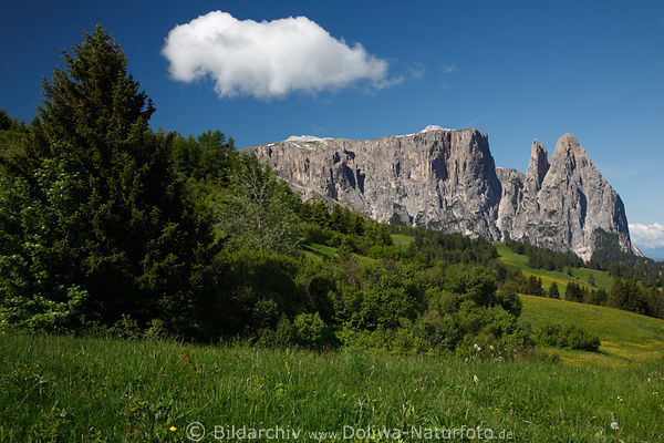 Alpe di Siusi immagine Dolomiti montagne Sciliar panorami natura