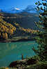 0814_Grüner Zufrittsee Wasser mit Wald der Lärchenlandschaft Naturfoto buntn Herbstfarben unter blauen Bergspitzen der Zufrittgipfel