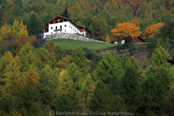 Südtirol Haus Residenz Villa am Hang hoch im Martelltal bunten Lärchenwald