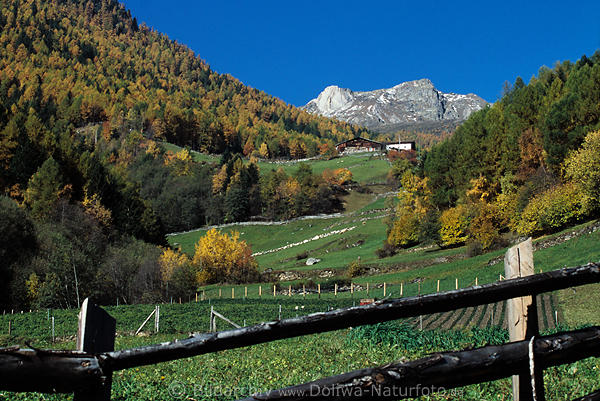 Südtirol Berge Hangwiesen Bauernhof Martelltal Herbstlandschaft