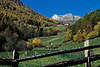0714_Südtirol Berge Hangwiesen Bauernhof Martelltal Herbstlandschaft