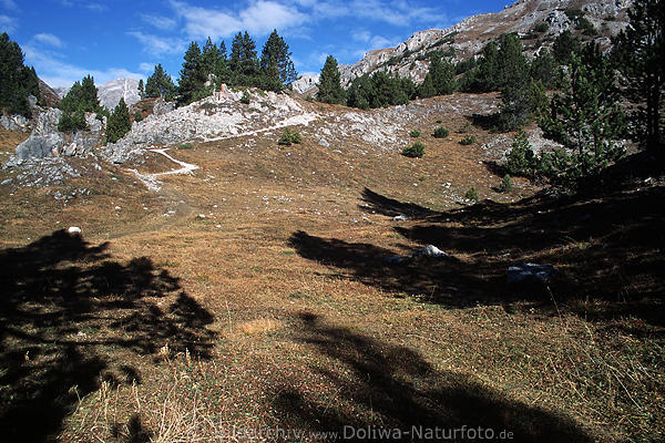 Bergland karge Felslandschaft Rtischen Alpen in Grenzgebiet am Ofenpass