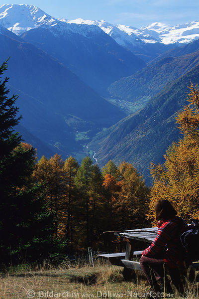Sdtirol Schneeberge Alpental Natur Touristin Blick ber Herbstlrchen