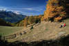 Südtirol Lärchenpfad Wanderrast in Naturbild Seniorenpaar in Herbst vor Bergpanorama