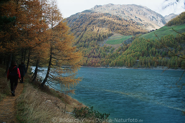 Wanderer Lrchenpfad Vernagt Stausee Foto grnes Wasser Herbst Wanderurlaub