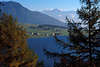 0721_ Reschensee Naturfoto Südtirol Berge Gipfelblick durch Lärchenwald