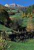 0830_Bergwiesen Weidestufen zum Bauernhof in Südtirols Herbstfarben Naturfoto am Almhang unter Bergfelsen im Martelltal