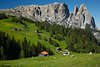 Seiser Almwiesen Khe Spitzbhel-Sessellift Naturbild unter Schlern-Panorama