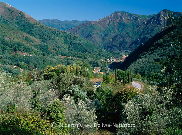 Dezza Foto Dorf im Tal Apuanische Alpen hinter Zypressen Bild aus Toscana Italien Reise in grne Berge