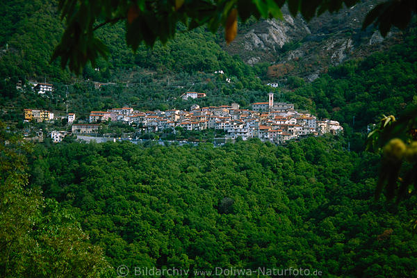 Antona Wald-Bergdorf bei Massa in Toscana
