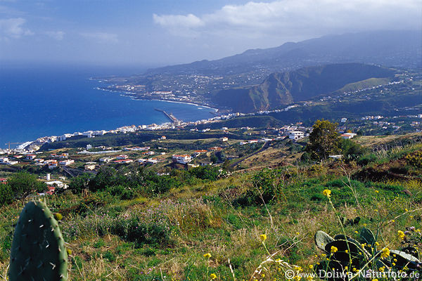 Barranco (Schlucht) Küste Landschaft Foto Santa Cruz de La Palma Meerblick Kanarische Insel