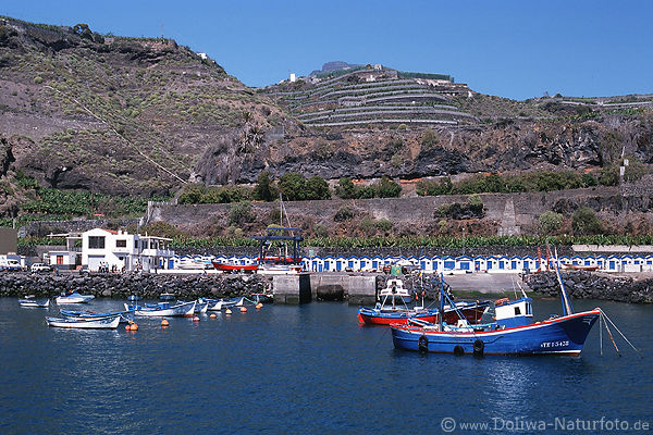 Puerto Tazacorte Fischerboote unter Bergterrassen Insel La Palma