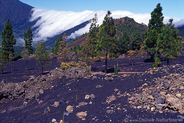 Passatwolke flie�t �ber Gebirgskamm Cumbre Nueva Vulkan-Asche LaPalma Berglandschaft