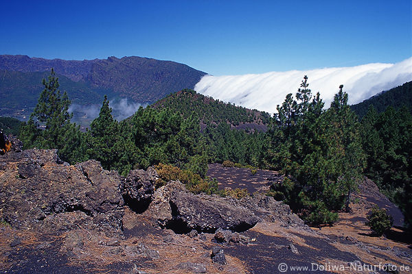 Passatwolke fliesst über Gebirgskamm Cumbre Nueva Naturphänomen Vulkaninsel La Palma