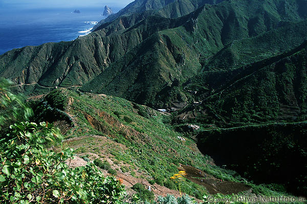 Schlucht Landschaft bei Almaciga Foto Insel Teneriffa Berge Feldarbeit Meer Kste Blick