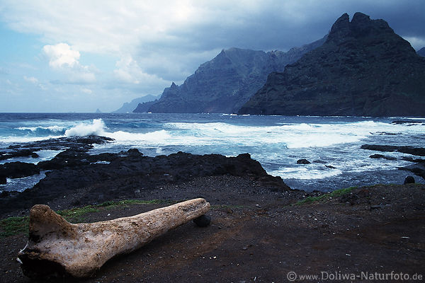 Teneriffa felsige Bergkste Meerufer Wellen in Wasserbucht am Nordzipfel hinter Punta del Hidalgo