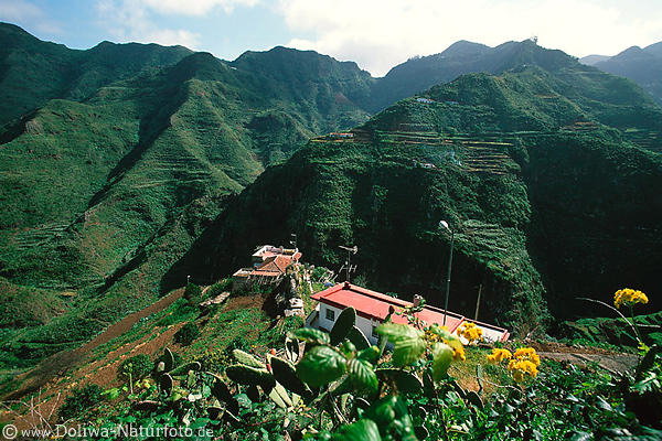 El Batan Fincas in Schlucht Anaga Gebirge Terrassenfelder Foto Berge Landschaft