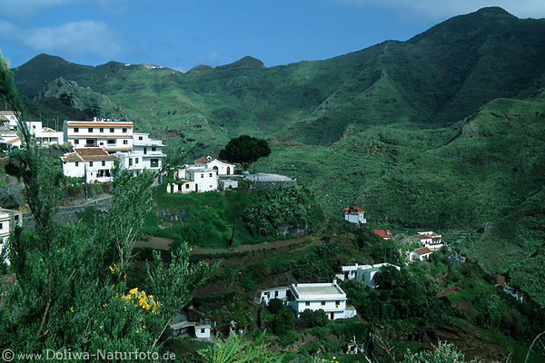 El Batan Foto: Bergdorf Huser grne Landschaft Anaga-Gebirge ursprngliche Teneriffa