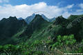 Gipfel Bergkamm Anaga Gebirge Naturfoto mit Dragos mini Drachenbäume vorne